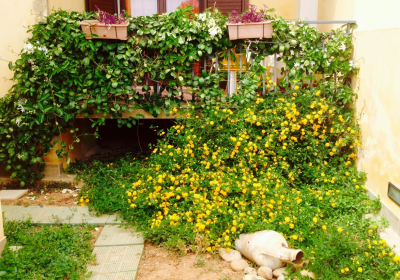 Casa Vacanze L'oleandro Rosso